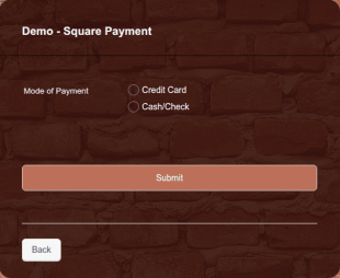 Demo Square Payment Form Template