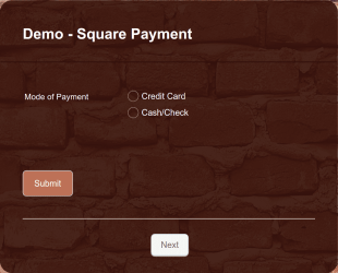 Demo Square Payment Form Template