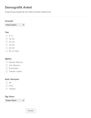 Demografik Anket Form Template
