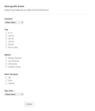 Demografik Anket Form Şablonu