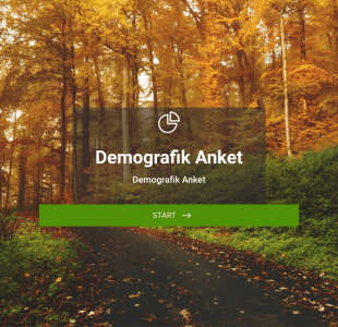 Demografik Anket Form Şablonu