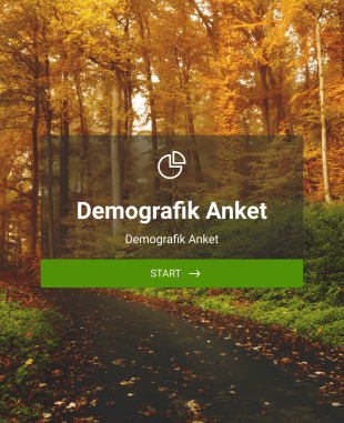 Demografik Anket Form Template