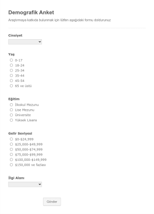 Demografik Anket Form Template