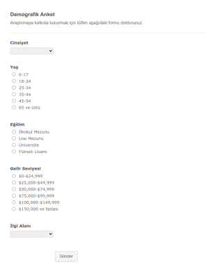 Demografik Anket Form Şablonu