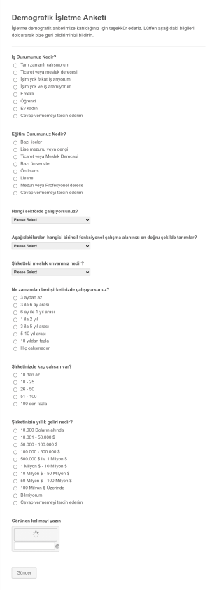 Demografik İşletme Anket Form Şablonu