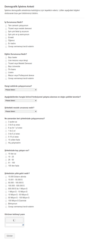 Demografik İşletme Anket Form Şablonu