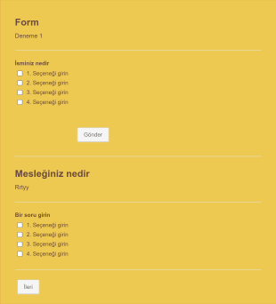 Deneme Form Şablonu