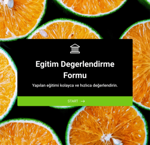 Ders Geri Bildirim Anketi Form Template