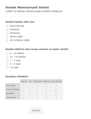 Destek Memnuniyeti Anketi Form Şablonu