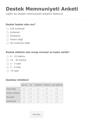 Destek Memnuniyeti Anketi Form Template