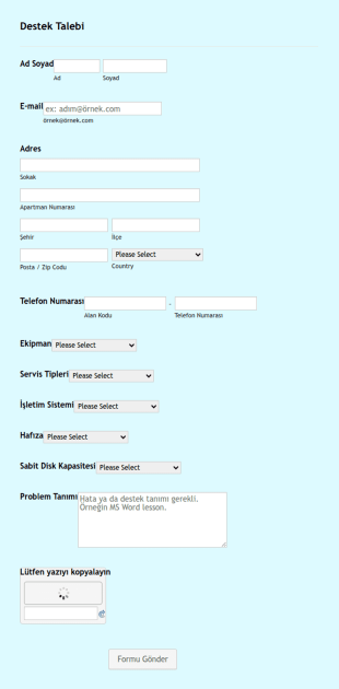 Destek Talebi Form Şablonu