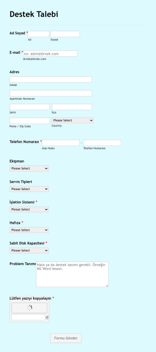 Destek Talebi Form Şablonu