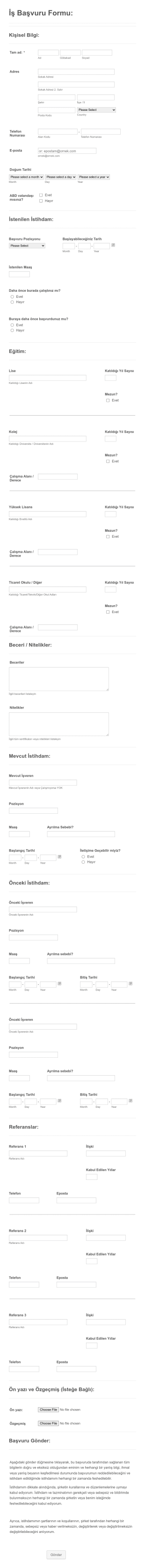 Detaylı İş Başvuru Form Template