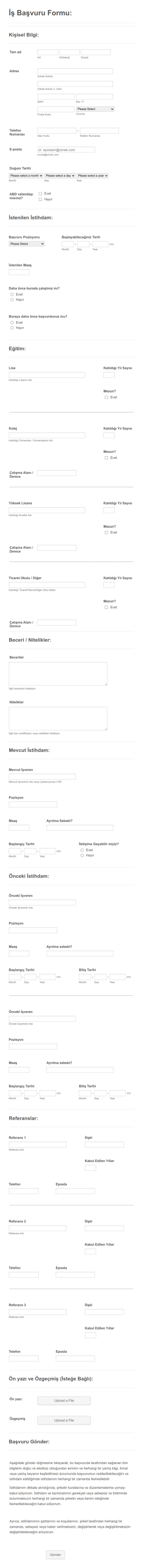Detaylı İş Başvuru Form Şablonu