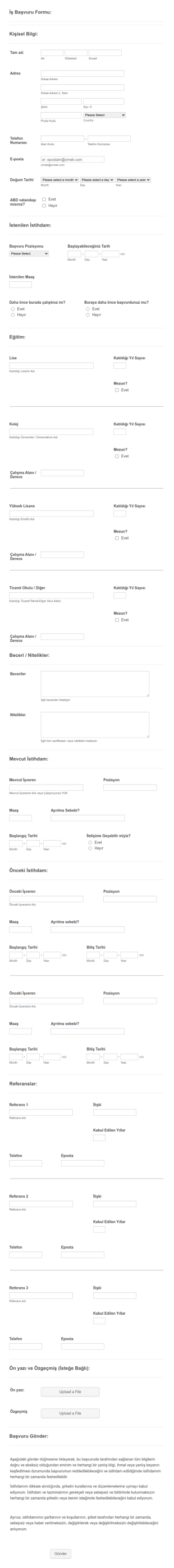 Detaylı İş Başvuru Form Şablonu