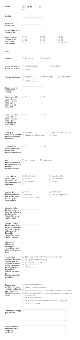 Diagnóstico De Seguridad Vial Form Template