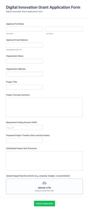 Digital Innovation Grant Application Form Template