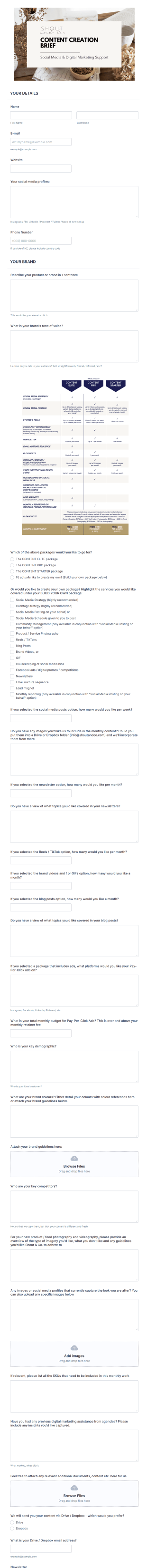 Digital Marketing Brief Intake Form Template