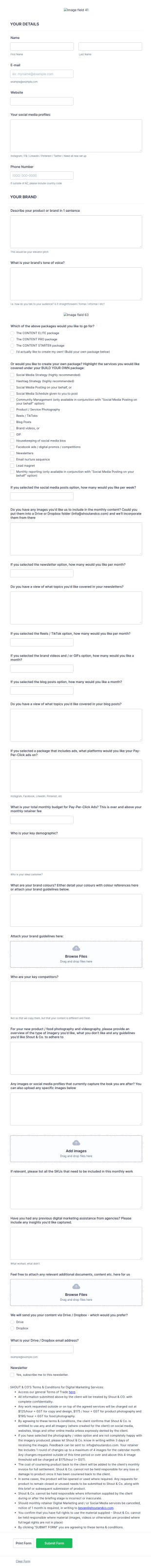 Digital Marketing Brief Intake Form Template