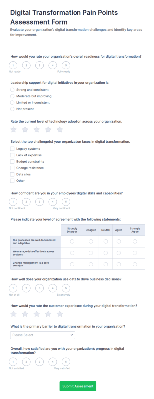 Digital Transformation Pain Points Assessment Survey Form Template