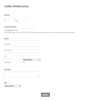 Dilekçe Kayıt Form Template