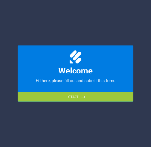 Discord Mod Application Form Template
