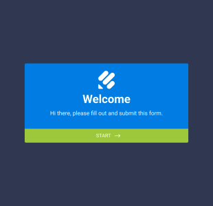 Discord Mod Application Form Template