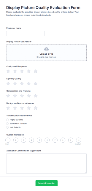 Display Picture Quality Evaluation Form Template