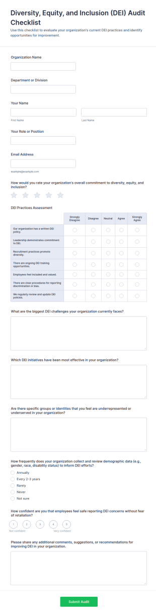 Diversity, Equity, And Inclusion (DEI) Audit Checklist Form Template