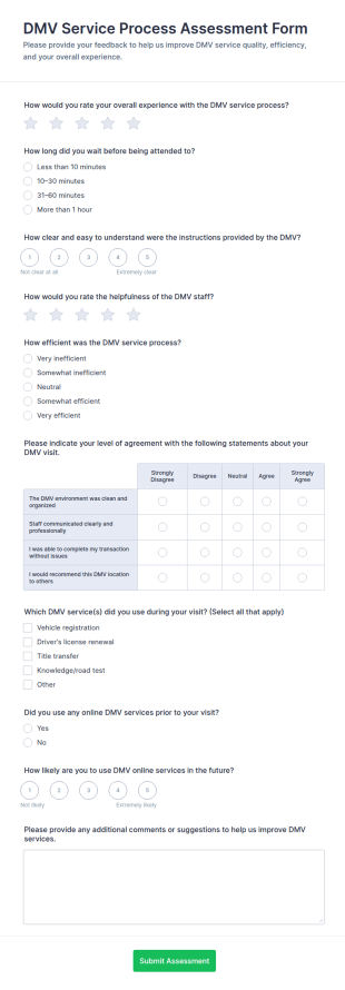 DMV Service Process Assessment Form Template