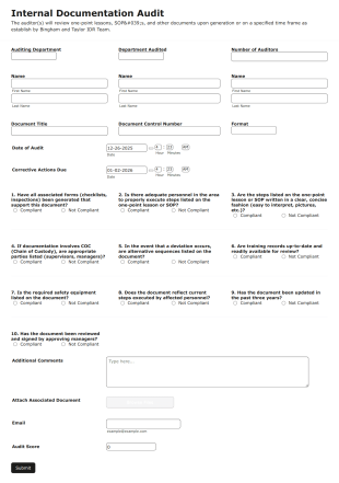 Documentation Audit Form Template