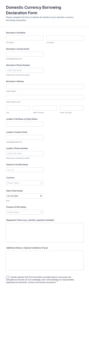 Domestic Currency Borrowing Declaration Form Template