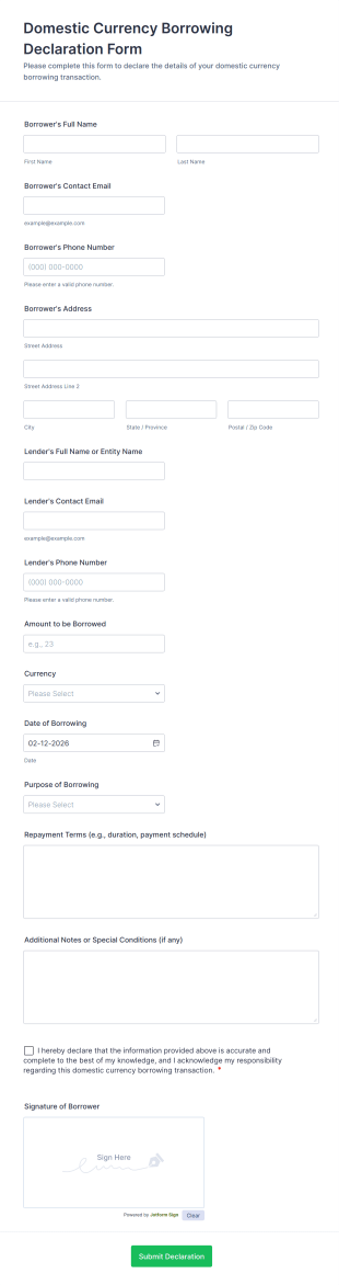 Domestic Currency Borrowing Declaration Form Template