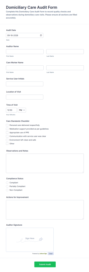 Domiciliary Care Audit Form Template