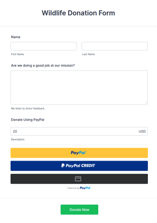 Donation Form PayPal Checkout