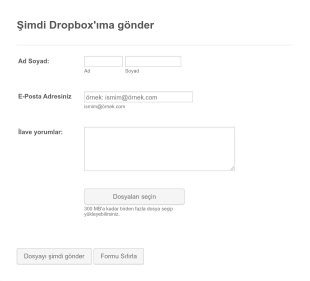 Dosya Yükleme Formu Dropbox Form Şablonu