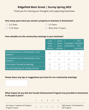 Downtown Business Enhance Survey Form Template