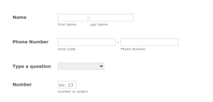 Drive Thru BBQ Form Template