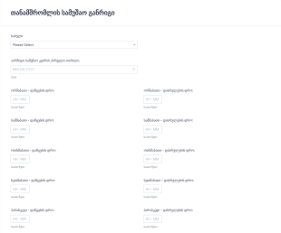 დროის განრიგის მარტივი ფორმა Form Template