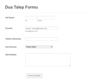 Dua Talep Form Template
