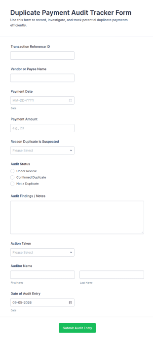 Duplicate Payment Audit Tracker Form Template