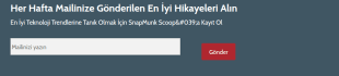 E Posta Bültenine Kayıt Form Şablonu