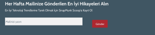 E Posta Bültenine Kayıt Form Template