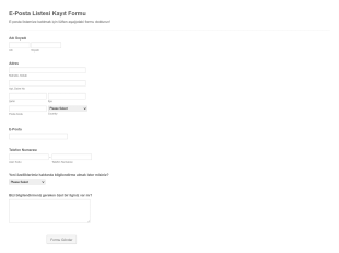 E Posta Listesi Kayıt Formu 2 Form Template