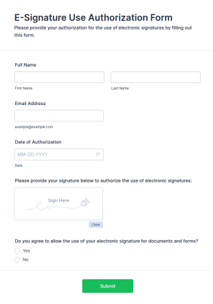 E Signature Use Authorization Form Template