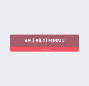 EBA Anketi Form Template