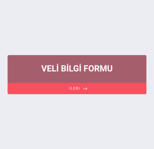 EBA Anketi Form Şablonu