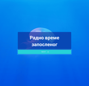 Једноставан образац за распоред рада Form Template