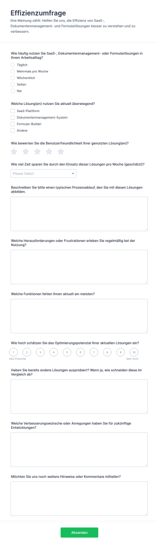 Effizienzbefragung Formular