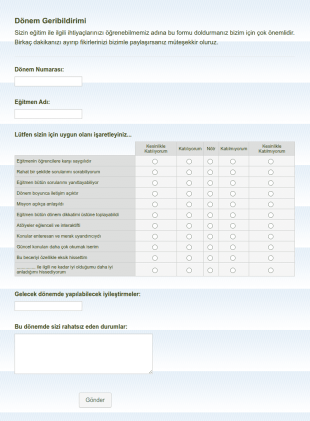 Egitmen Degerlendirme Anketi Form Şablonu